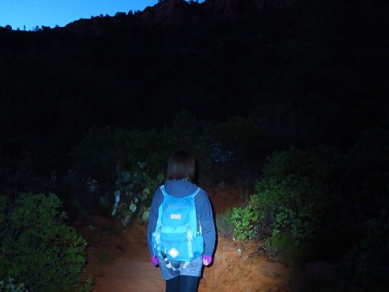 セドナ　朝日鑑賞ハイキングツアー ＜初級～中級レベル／日本語ドライバーガイド＞