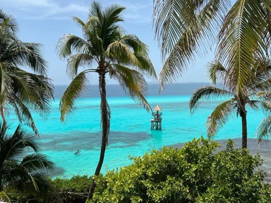 イスラムヘーレス島観光＋ドローン空撮ツアー！カンクン在住スタッフがローカルな街の魅力をご案内＜半日／混載／日本語ガイド／少人数制／カンクン発＞