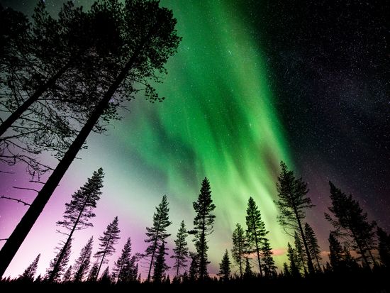 AdobeStock_543430720