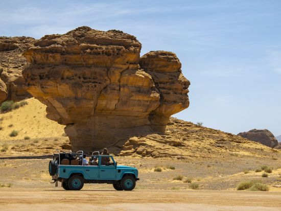 ダダン遺跡＆ジャバル・イクマの岩絵 半日プライベートツアー＜英語ガイド／入場料込／アルウラ発＞*車1台あたり