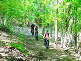 【MTBレッスン】​森の中を走る北米スタイルのバイクパークで少人数プライベートレッスン！特製のいろんなトレイルを走ろう＜平日限定／札幌＞by ezobike