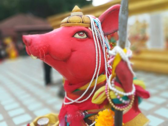 ピンクのガネーシャ直行バス 「ワット・サマーン・ラッタナーラーム」⇔バンコク市内往復送迎 ＜午前・午後／現地語ドライバー＞