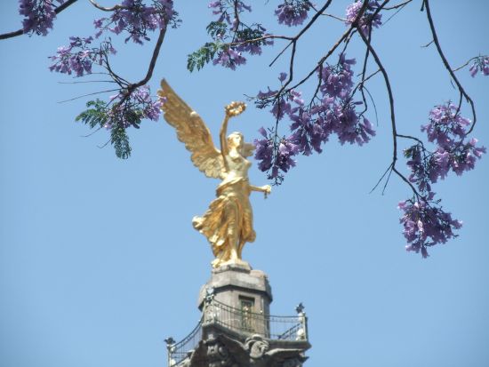 日本語ガイド付メキシコシティ観光ツアー*ガイドのみ＜半日または1日／貸切／日本語／専用車オプションあり／チップ込／メキシコシティ発＞