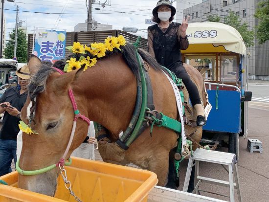 観光馬車「札幌まち馬車」 元ばんえい競馬の競走馬だいちゃんに乗って札幌市内をゆったり散策＜約30分／11月3日までの木～日曜・祝日／大通ビッセ発着＞ 