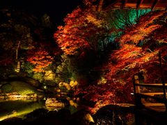 pixta_11814059_M