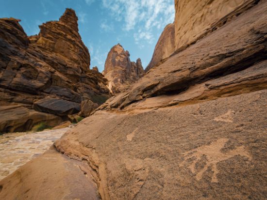 ダダン遺跡＆ジャバル・イクマの岩絵 半日ツアー＜混載／英語ガイド／アルウラ発＞