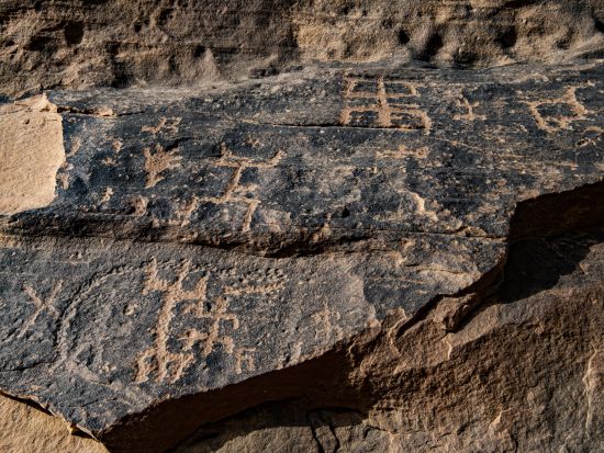 ダダン遺跡＆ジャバル・イクマの岩絵 半日ツアー＜混載／英語ガイド／アルウラ発＞