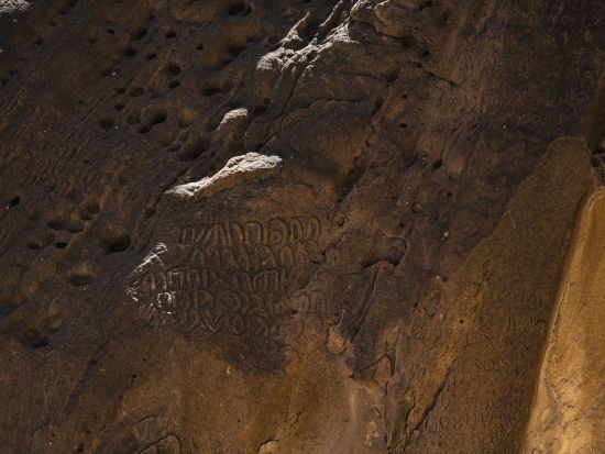 ダダン遺跡＆ジャバル・イクマの岩絵 半日ツアー＜混載／英語ガイド／アルウラ発＞