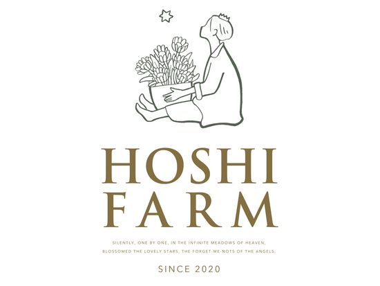 19969-041_ホシファーム_HOSHIFARM_logo01_B