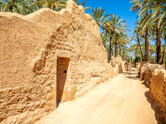 悠々の歴史と絶景に出会う！アルウラ旧市街 ウォーキングツアー＜混載／英語ガイド＞