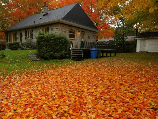 ケベック郊外 半日観光ツアー　サンタンヌ・ド・ボープレ大聖堂＆モンモラシー滝＆オルレアン島 ＜日本語ガイド＞