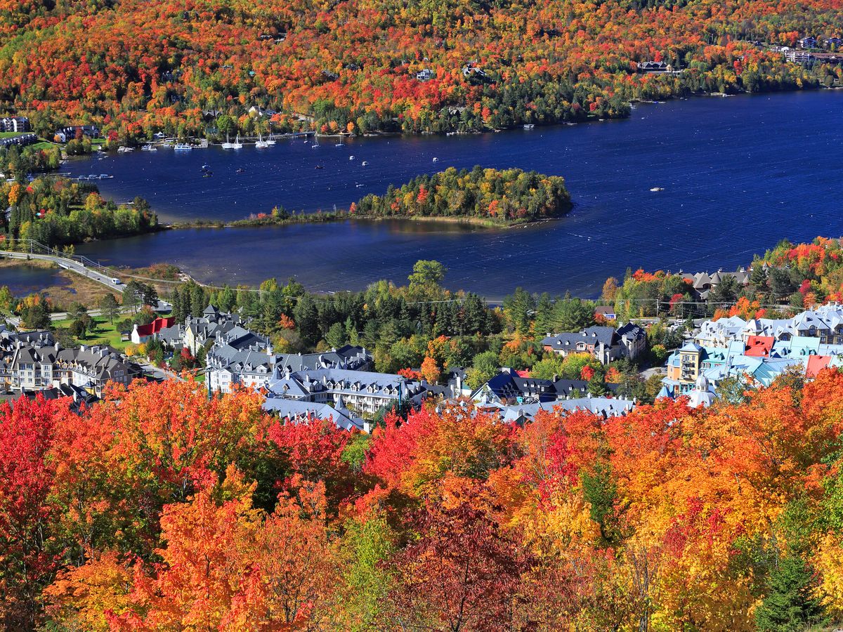 カナダ紅葉特集 | カナダ 旅行の観光・オプショナルツアー予約 VELTRA