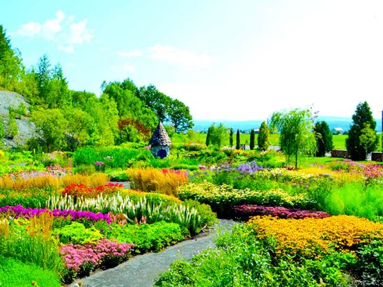 旭川上野ファーム