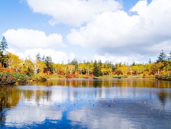 神仙沼（紅葉）_800525