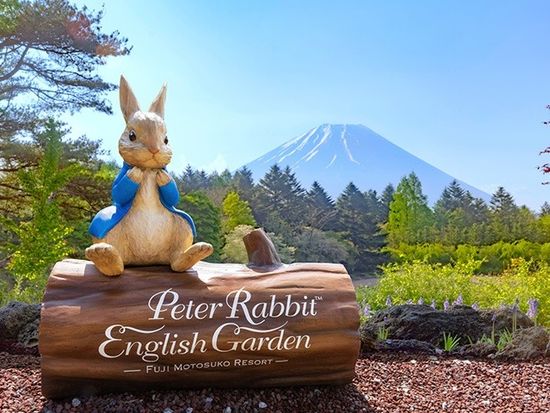 img_Peter_Rabbit_735_480_003