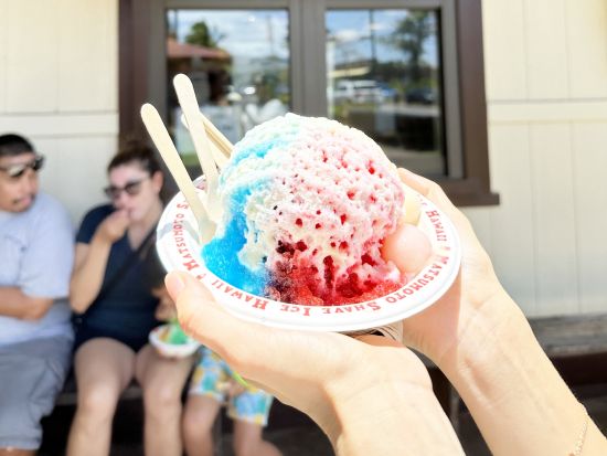 カイルア＆ハレイワ観光ツアー　選べる徒歩観光または電動自転車レンタル　ガイドが付かない自由なツアー！ブーツ＆キモズのパンケーキ事前注文可能＜7時間／送迎付き＞