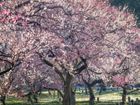 pixta_99667758_M