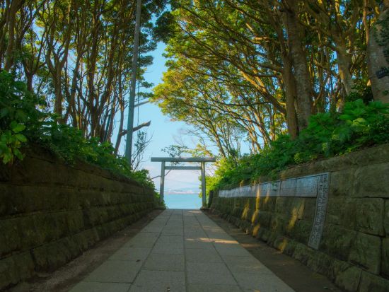 プチサイクル＆プチトレイルバスツアー 茨城開運神社巡り ～常陸秋そば懐石料理ディナー付き～＜11月3・12日／8名以上貸切プランあり・／つくば駅発着＞