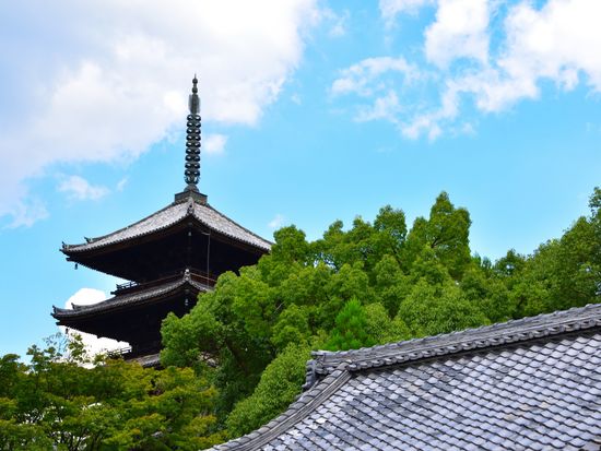 Japan_Kyoto_Ninna-ji_pixta_70382470