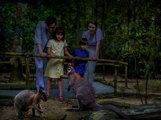 Wallaby Trail - Wallaby
