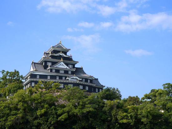 岡山城天守 前売り入場チケット