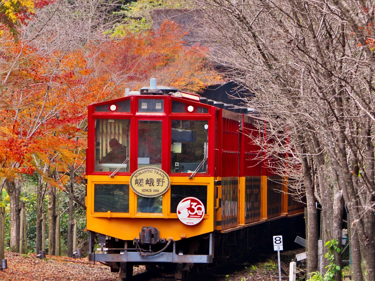 紅葉特集2025 | 大阪 旅行の観光・オプショナルツアー予約