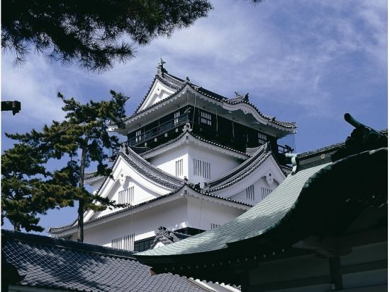 岡崎城 前売り入場チケット