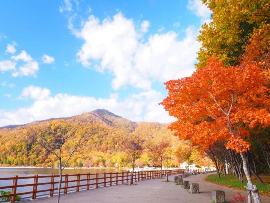 札幌発 登別＆洞爺湖 日帰りバスツアー 地獄谷＋洞爺湖＋昭和新山etc.＜1名から催行／札幌市内発着＞