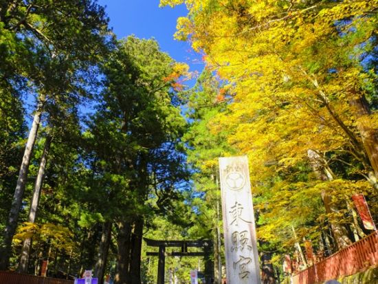 貸切観光タクシー 東京発 日光日帰り観光　世界遺産日光東照宮＋日光江戸村を巡るプライベートツアー 大型車両あり＜9時間／1-45名／東京23区発着＞ 