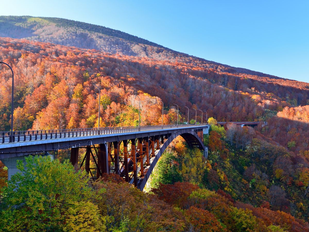 十和田湖・奥入瀬 (紅葉特集2025) | 青森の観光&遊び・体験・レジャー