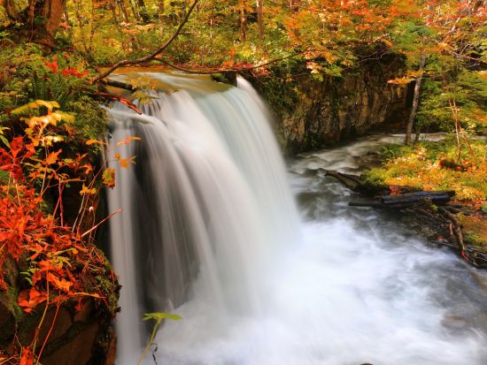 貸切観光タクシー 　青森県人気観光地の奥入瀬渓流と十和田湖を巡る5時間コース＜1～9名／八戸駅・八戸市内発十和田湖湖畔着＞by ポストタクシー