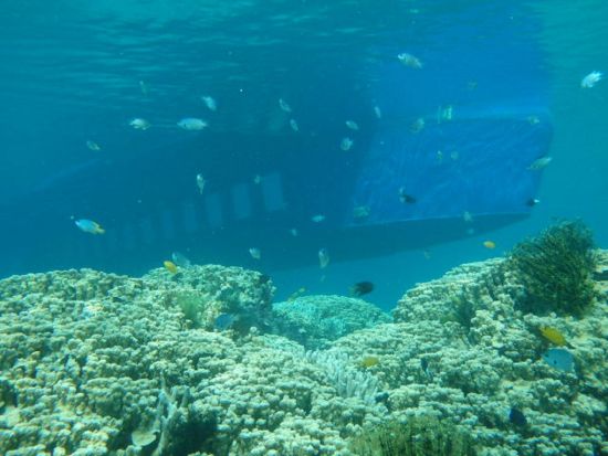 水中観光船「マリンビューワーせと」  半潜水船でサンゴ礁や熱帯魚を間近に観察！ ＜せとうち海の駅集合／瀬戸内町＞ by カケロマリゾート