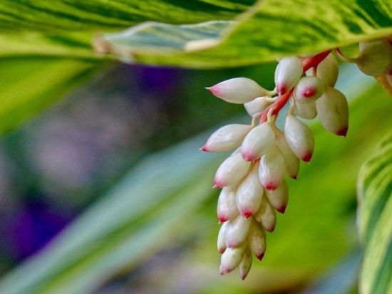 池間島の海が見える絶景サロンで宮古のスペシャルオイルトリートメント＜60分～120分/選べるフェイシャル&ヘッドスパセット＞