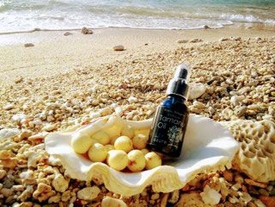 タマヌオイル写真