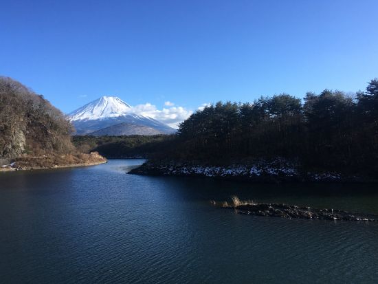 カナディアンカヌー体験 静かな精進湖の大自然と雄大な富士山を眺めながら湖上散歩！ 写真データのサービス付＜午前・午後／3歳～／2名～／山梨・精進湖＞