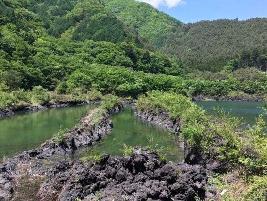 カナディアンカヌー体験 静かな精進湖の大自然と雄大な富士山を眺めながら湖上散歩！ 写真データのサービス付＜午前・午後／3歳～／2名～／山梨・精進湖＞