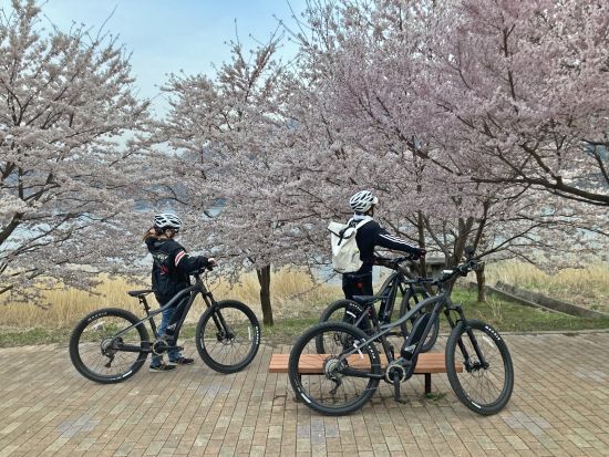e-Bike体験 富士山の四季折々の豊かな自然を肌に感じサイクリングを堪能！写真データのサービス付＜午前・午後／13歳～／2～4名／山梨県＞