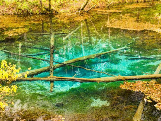 1日貸切観光タクシー 阿寒湖から行く！自然の神秘を感じられるツアー オンネトー+神の子池+摩周湖+硫黄山 ＜8時間／6～11月／阿寒湖温泉発着＞by阿寒ハイヤー