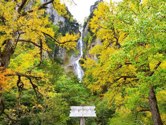 送迎タクシープラン 旭川市内⇔層雲峡ビジターセンター 目的地への移動に便利 早朝深夜プランもあり＜最大9名／通年／旭川市内・層雲峡ビジターセンター発着＞