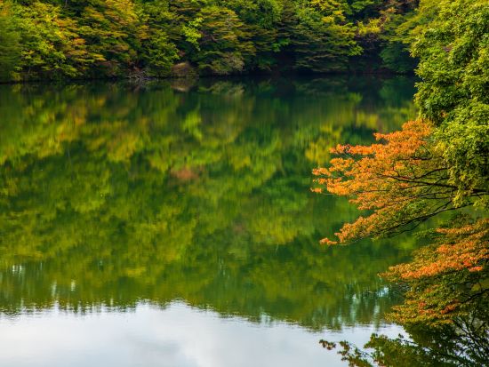 白神山地ハイキング「十二湖」青池など湖をゆっくり散策＜初級/4~11月プライベートガイド/JR十二湖駅発着＞