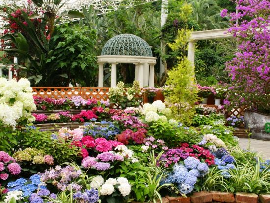 フラワーパークかごしま 前売り入場チケット