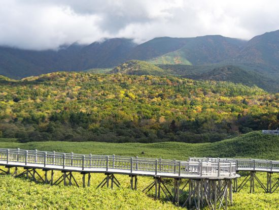 知床五湖ウォーキングツアー　世界遺産知床五湖全周or知床一湖・二湖をゆっくりベテランガイドと見学＜4～11月／半日／斜里町知床フィールドハウス発着＞by星の時間