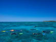 Big_Cat_Green_Island_Reef_Cruises_NorthQLD_211016-6959