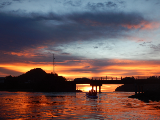 サンセットカヤックツアー　マングローブの豊かな森とロックアイランドを半日でめぐる＜送迎付き＞by パラオ・パシフイックダイバーズ