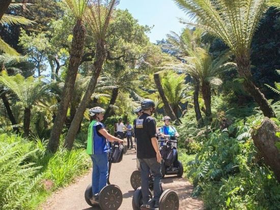 セグウェイでめぐる　ゴールデンゲートパーク観光ツアー ＜初心者向け／英語ガイド＞