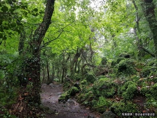 200012520_base_16862746192408