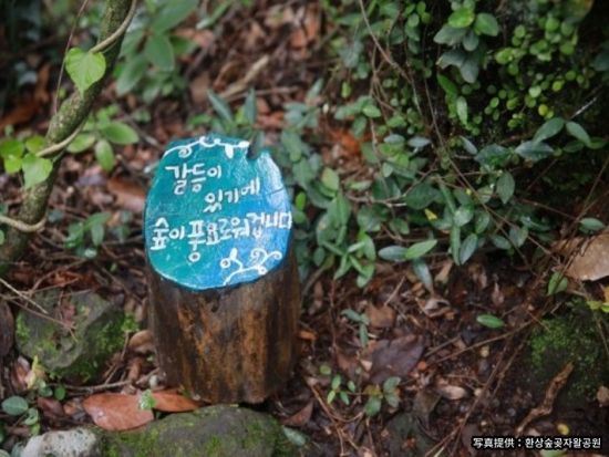 済州島ヒーリングツアー　山房窟寺＆沙渓海岸＆イニスフリー済州ハウス＆幻想の森ゴッジャワル ＜カルグクスの昼食付き／日本語ガイド＞