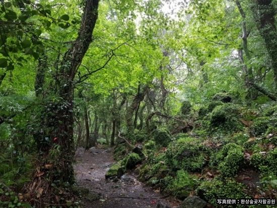 200012540_base_16891315871095