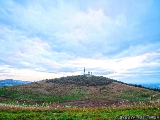 200012540_base_16891315868521