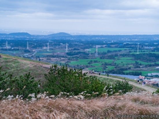 済州島のドラマやMVロケ地を巡るツアー　クモルム＆幻想の森ゴッジャワル＆新昌風車海岸道路＆金陵海水浴場 ＜黒豚焼肉の昼食付き／日本語ガイド＞